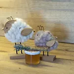 Neschtle * 테란즈